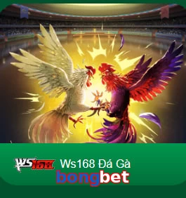 bongbet